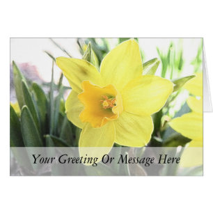 En härlig Gult Daffodil Hälsningskort