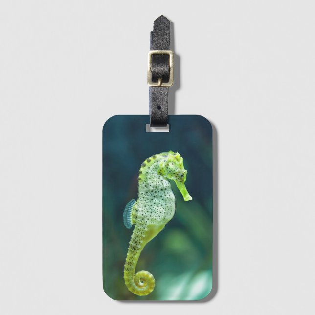 En härlig Knysna Seahorse Bagagebricka (Framsida vertikal)
