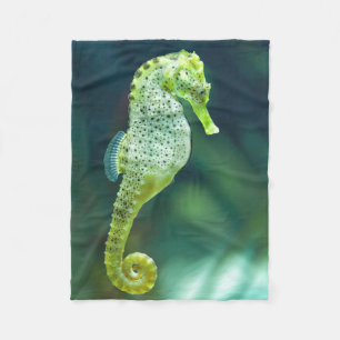 En härlig Knysna Seahorse Fleecefilt