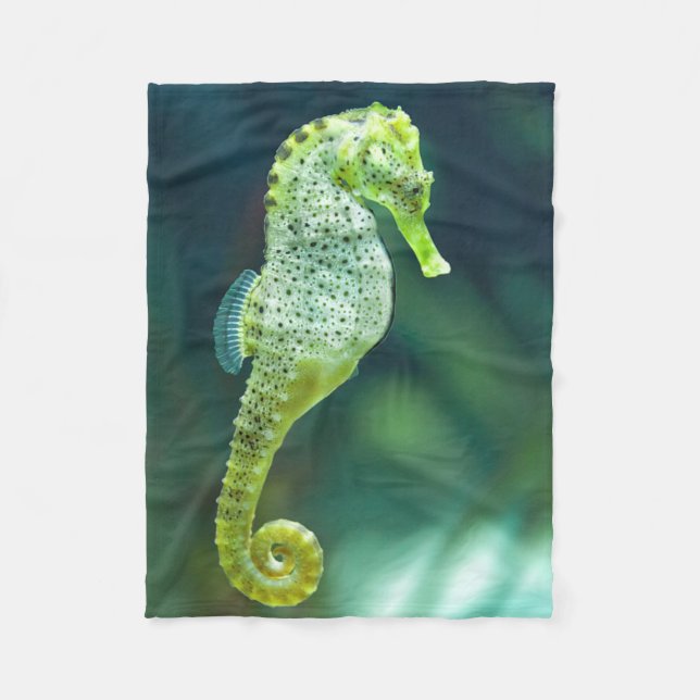En härlig Knysna Seahorse Fleecefilt (Framsidan)