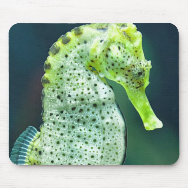 En härlig Knysna Seahorse Musmatta (Framsidan)