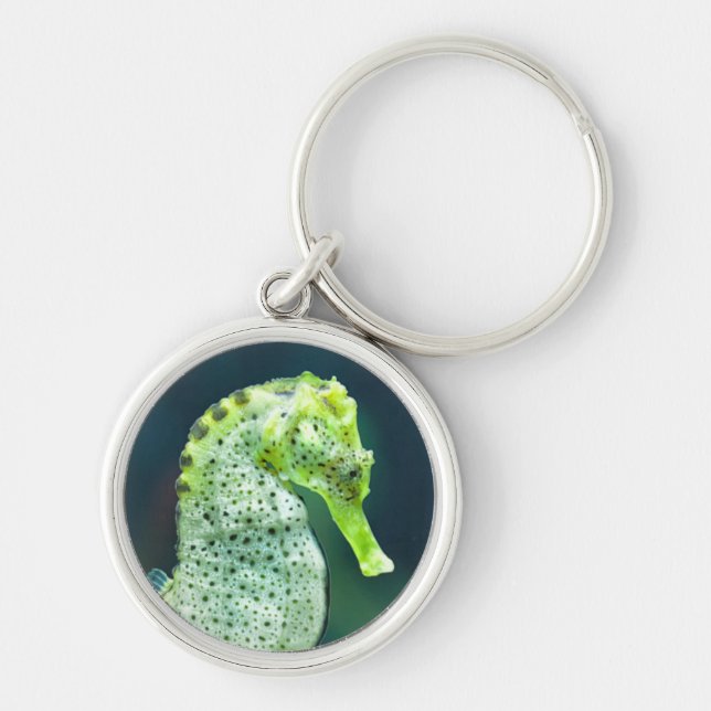 En härlig Knysna Seahorse Rund Silverfärgad Nyckelring (Framsidan)