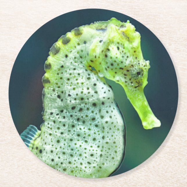 En härlig Knysna Seahorse Underlägg Papper Rund (Framsidan)