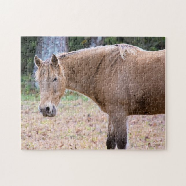 En häst är en självklarhet - 11 x 14 tum pussel (Horisontell)
