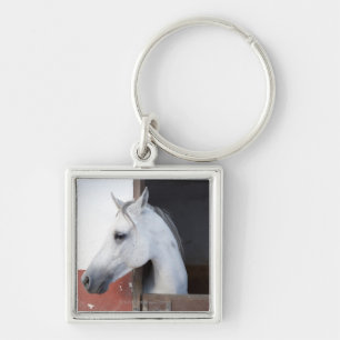 En häst (Equidae) Fyrkantig Silverfärgad Nyckelring