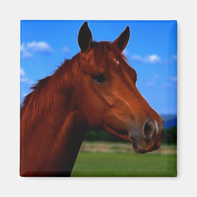 En häst som står stolt magnet (Framsidan)