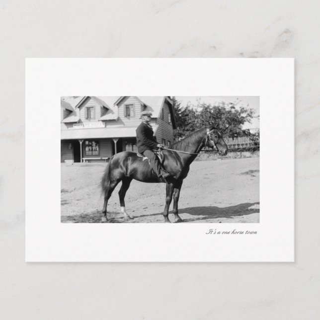 en häst vykort (Framsida)