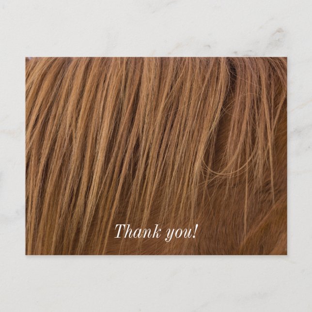 En hästmane vykort (Framsida)