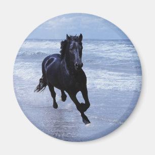 En hästvild och frigör magnet