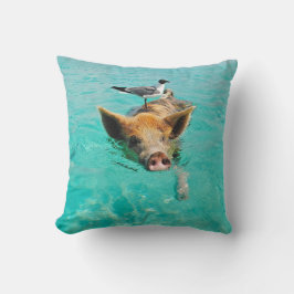 En havsfiskmås och en gris kudde