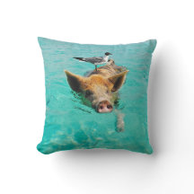 En havsfiskmås och en gris