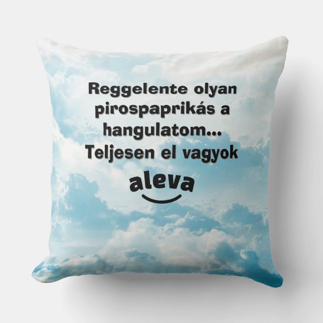 En helt galen soffa med undertext kudde (Framsida)