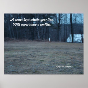 En hemlighet poster