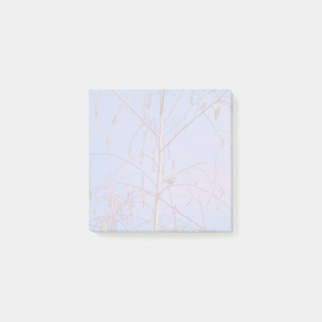 En hemlighet vid solnedgången post-it block (Framsida)