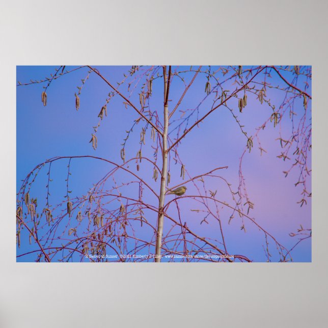 En hemlighet vid solnedgången poster (Framsidan)