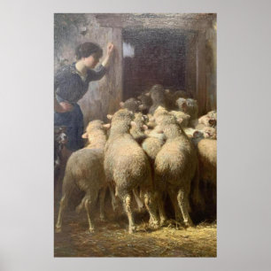 En herde, hennes Hund och får i Barn Poster