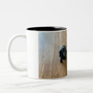 En hett hund hund och en pug! Två-Tonad mugg