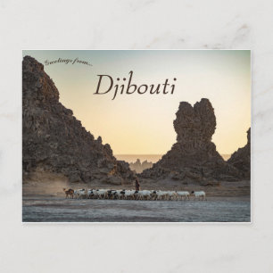 En hjord getter vid Lac Abbe Djibouti Vykort