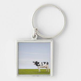 En Holstein mejeriko med fläckar i forma av Fyrkantig Silverfärgad Nyckelring