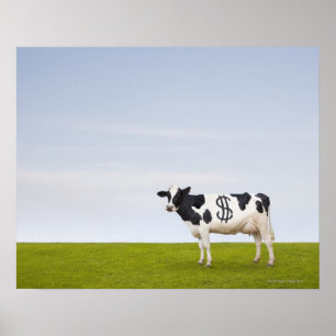 En Holstein mejeriko med fläckar i forma av Poster