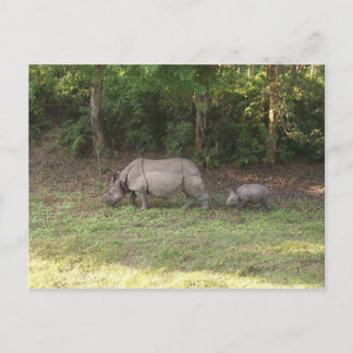 En hornsklubb (Rhinoceros) Chitwan nationalpark Ne Vykort