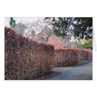 En höstdag hälsningskort