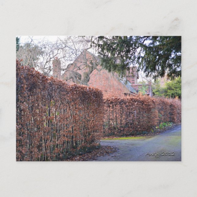 En höstdag vykort (Framsida)