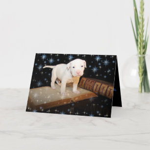En hund äger rum för liv, inte precis för jul helgkort