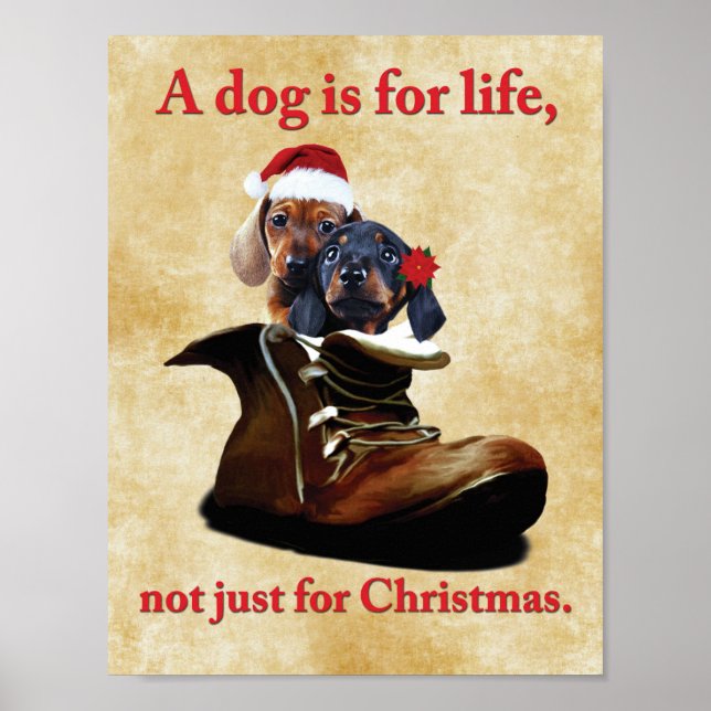 "En hund är för livet, inte bara för jul" poster (Framsidan)