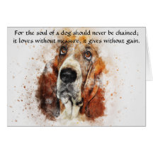 En Hund - Basset Hound