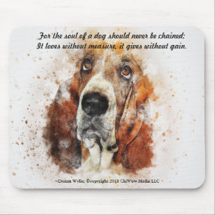 En Hund - Basset Hound Musmatta