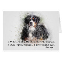 En Hund - Bernese Mountain Hund