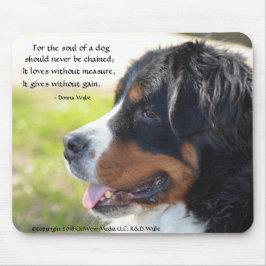 En Hund - Bernese Mountain Hund Musmatta