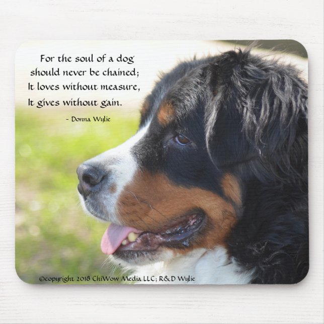 En Hund - Bernese Mountain Hund Musmatta (Framsidan)