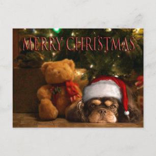 En Hund för livet är inte bara till jul Helg Vykort