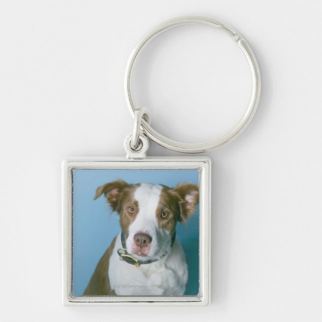 En hund fyrkantig silverfärgad nyckelring (Framsidan)