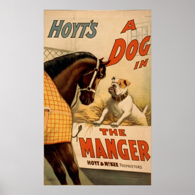 En Hund i Vintagen Manger Poster (Framsidan)