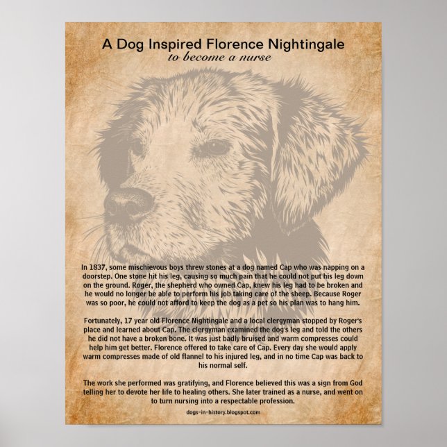 En Hund inspirerad Florence Nightingale som sjuksk Poster (Framsidan)