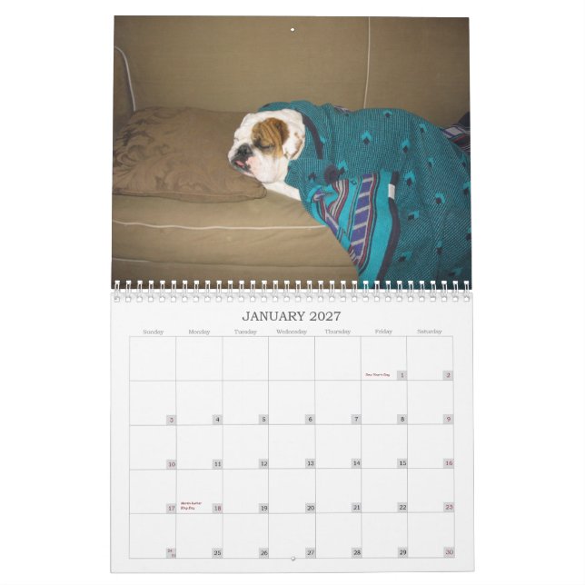 En hund liv kalender (Jan 2027)