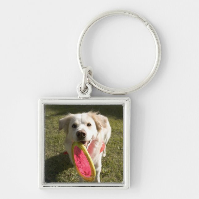 En hund med en frisbee fyrkantig silverfärgad nyckelring (Framsidan)