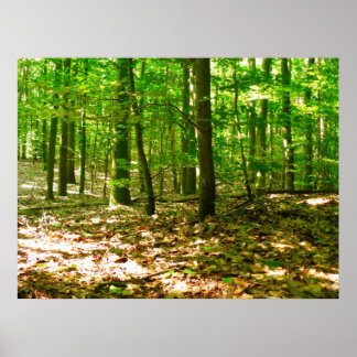 En Hund perspektiv Poster