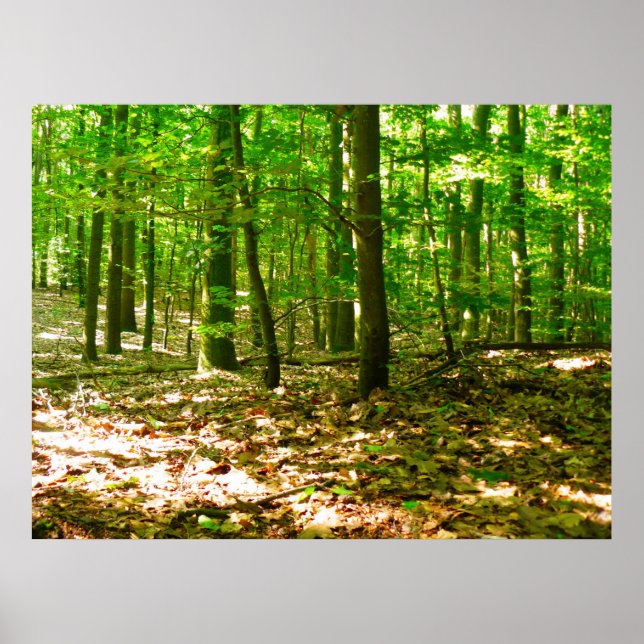 En Hund perspektiv Poster (Framsidan)