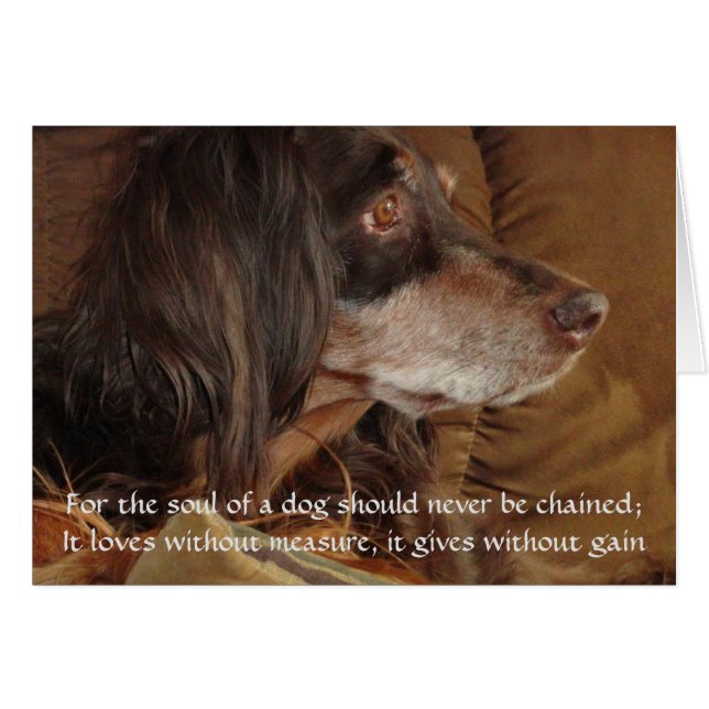 En Hund själ - "För tusan" Hälsningskort (Framsidan Horizontal)