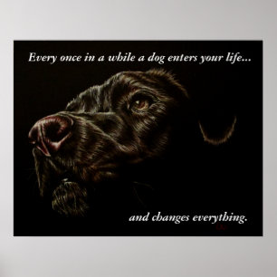 En hund skriver in ditt liv - svart hundaffisch poster