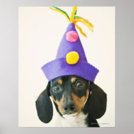 En hund som bär en rolig hatt poster
