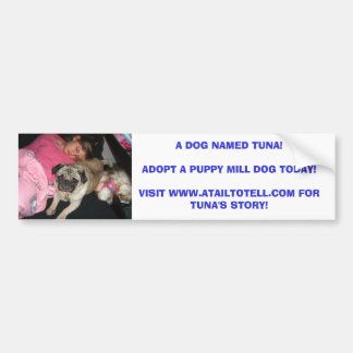 EN HUND SOM NAMNGES TONFISK! ADOPTERA EN PUPP… BILDEKAL