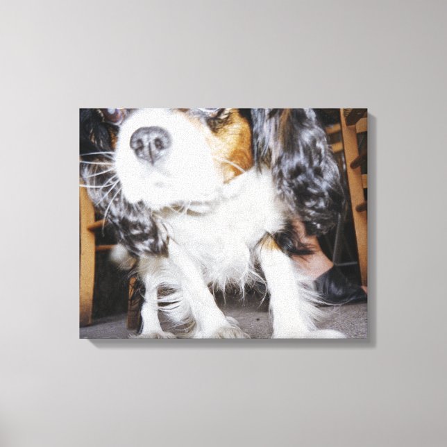 En hund som snurrar nära. canvastryck (Framsida)