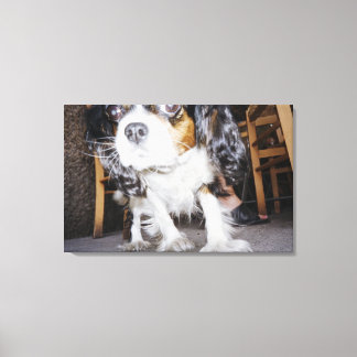 En hund som snurrar nära. canvastryck