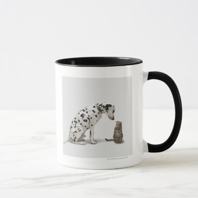 En hund som tittar en katt mugg (Höger)