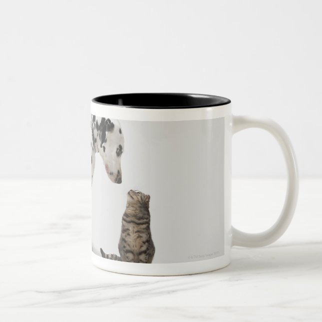 En hund som tittar en katt Två-Tonad mugg (Höger)